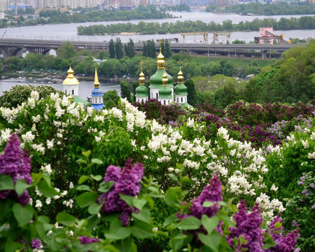 Ботанический сад им. Н.Гришка. Киев.