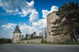 Кривченський замок