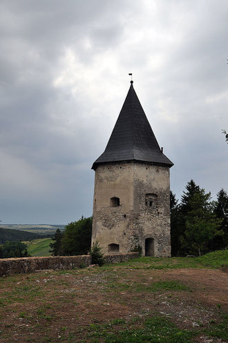 Замок XVII століття в селі Кривче Борщівського району