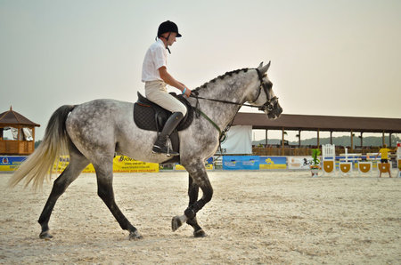 Жашківська конно-спортивная школа «Parade Allure»